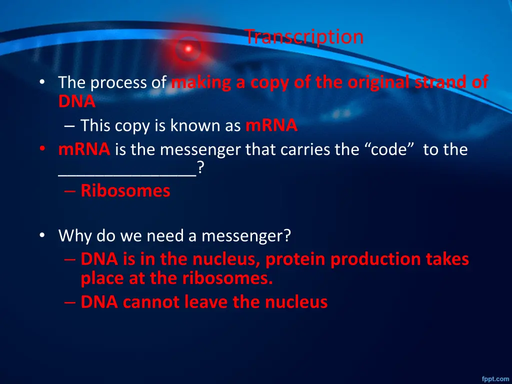 transcription