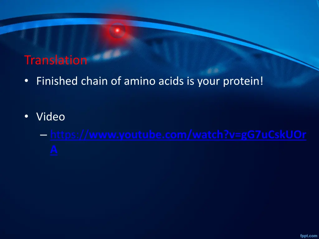 translation finished chain of amino acids is your