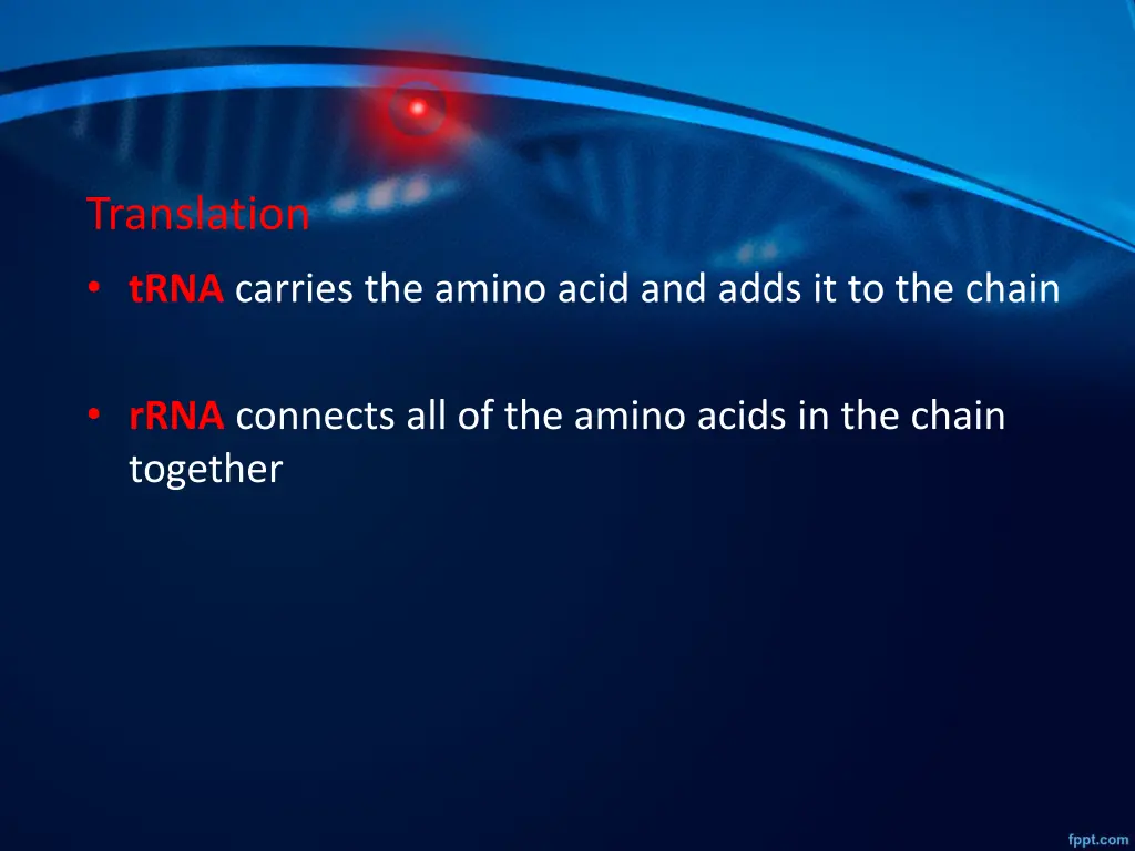translation trna carries the amino acid and adds