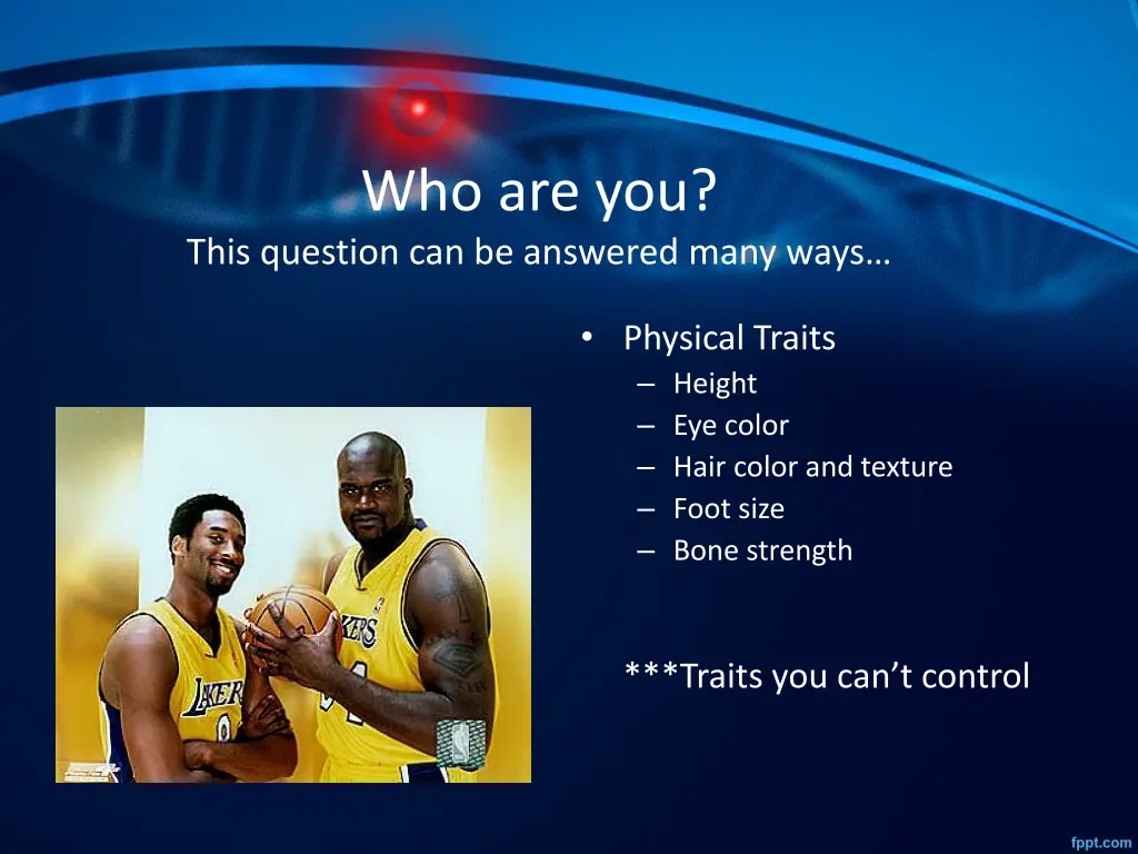 who are you this question can be answered many
