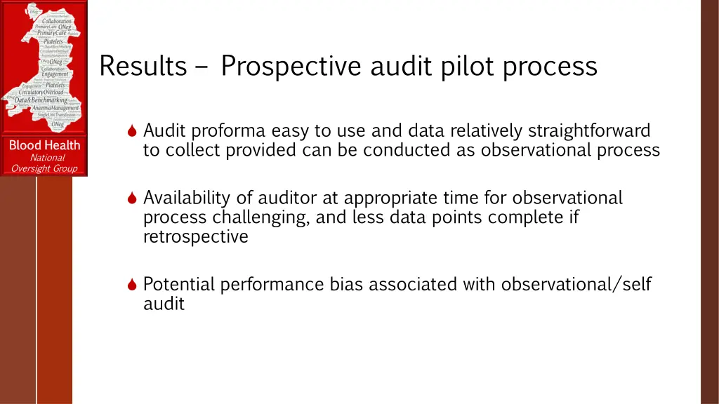 results prospective audit pilot process