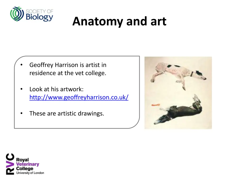 anatomy and art