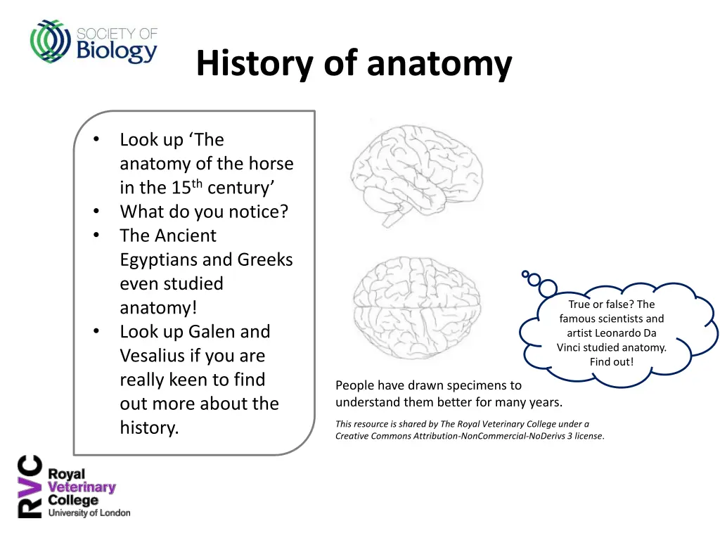 history of anatomy
