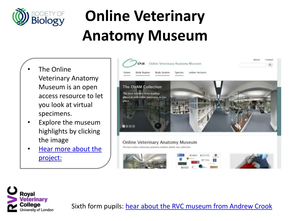 online veterinary anatomy museum