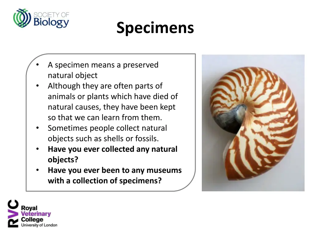 specimens