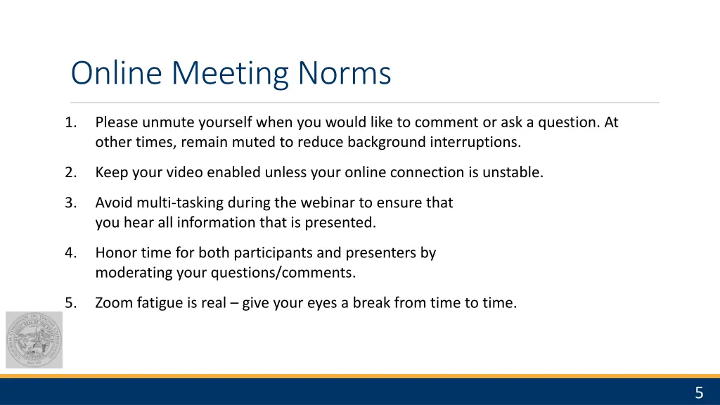online meeting norms