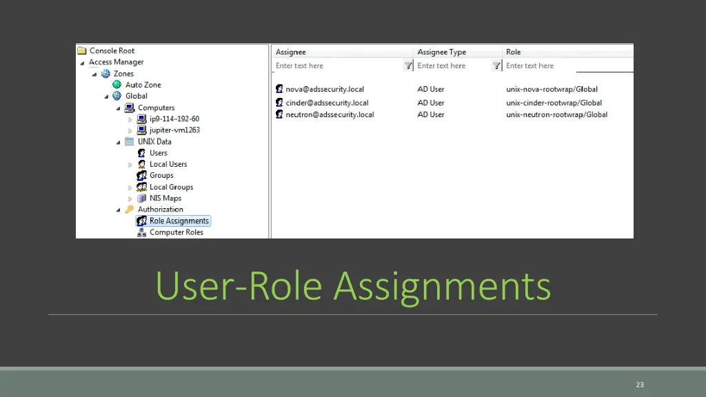 user role assignments