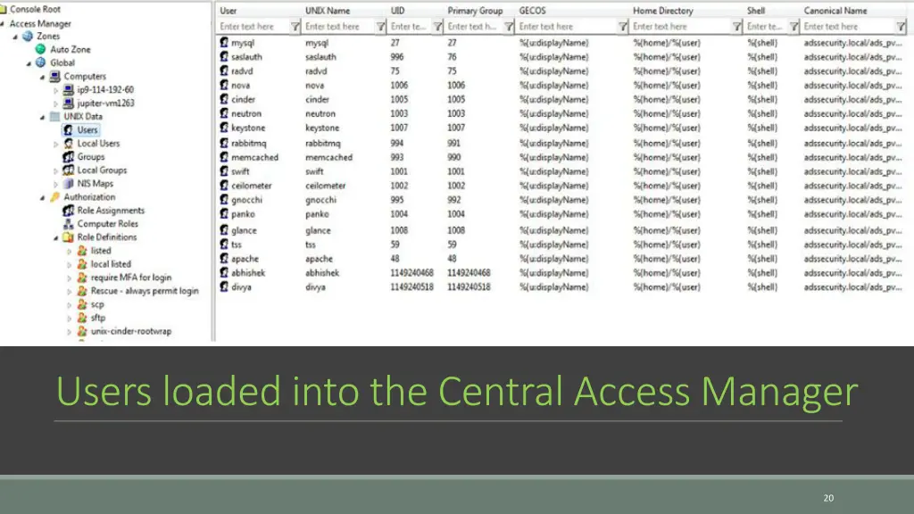users loaded into the central access manager