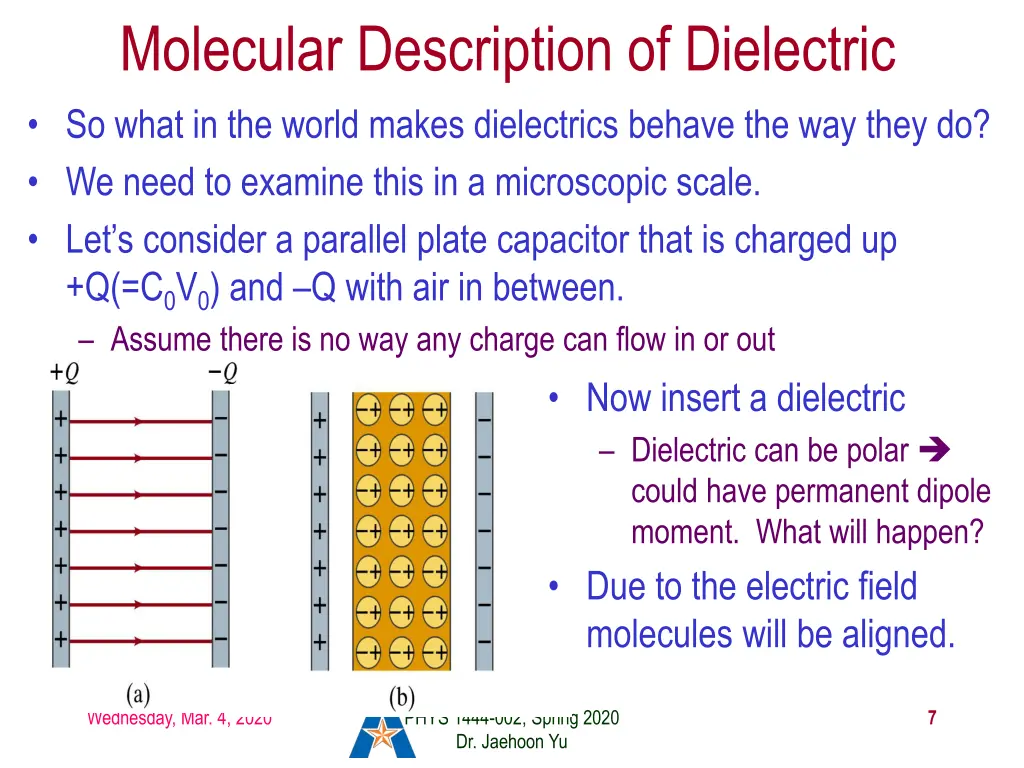 molecular description of dielectric so what