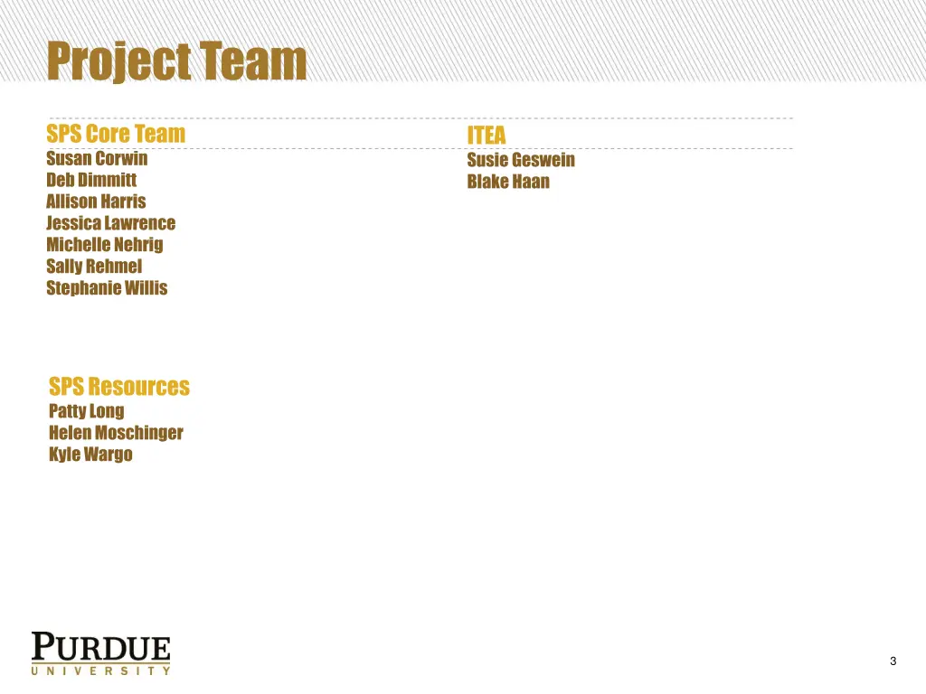 project team