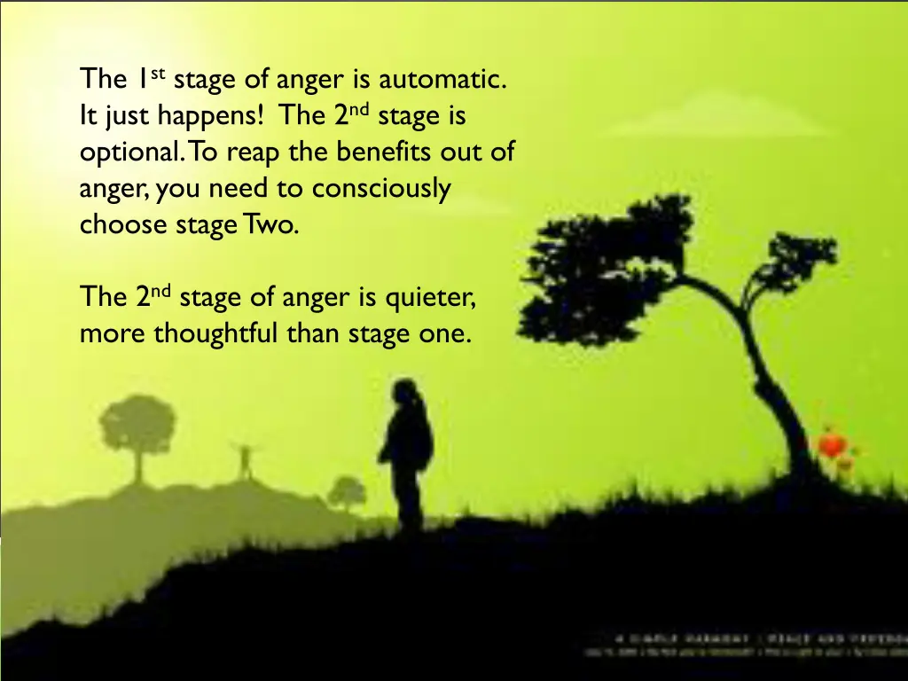 the 1 st stage of anger is automatic it just