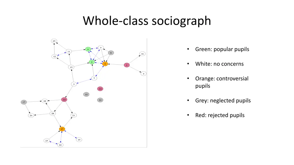 whole class sociograph