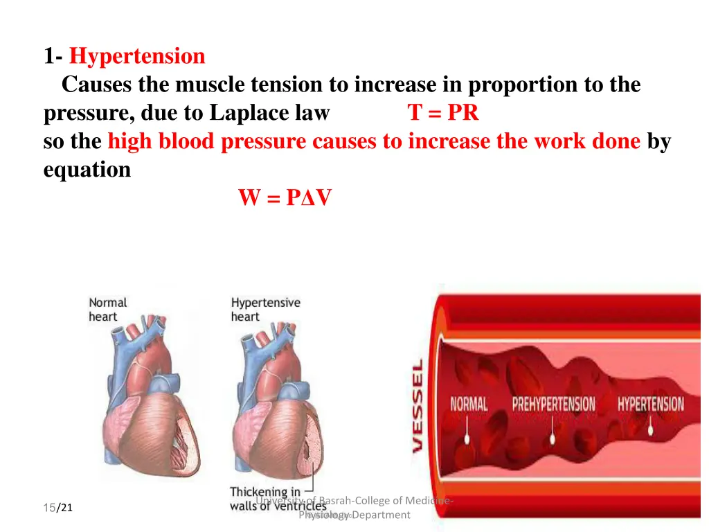 1 hypertension causes the muscle tension