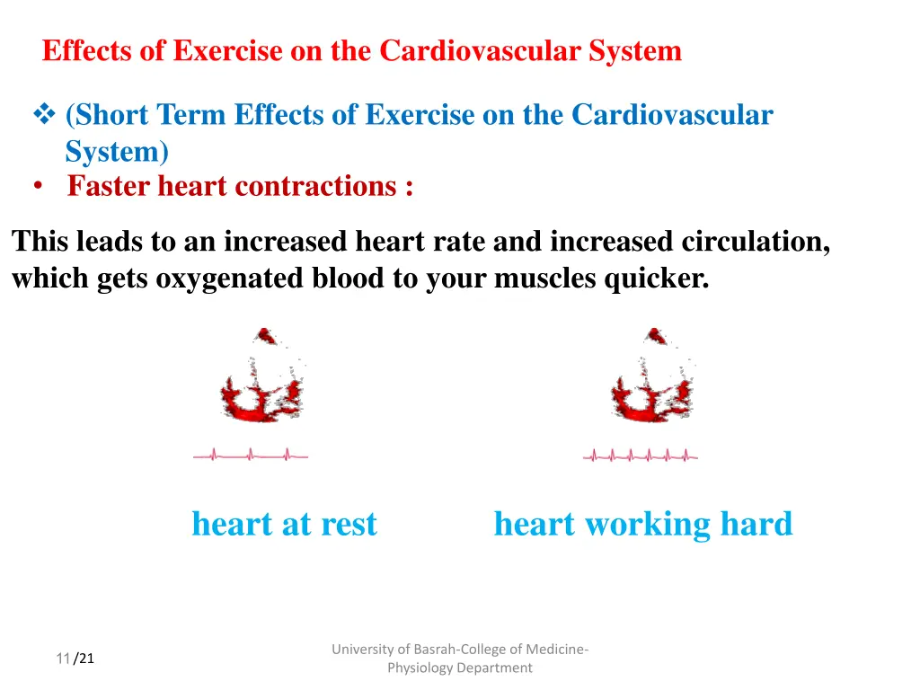 effects of exercise on the cardiovascular system