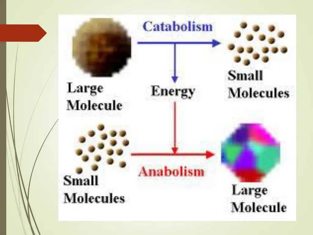 slide6