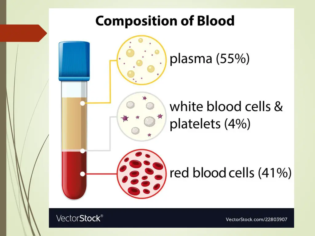 slide14
