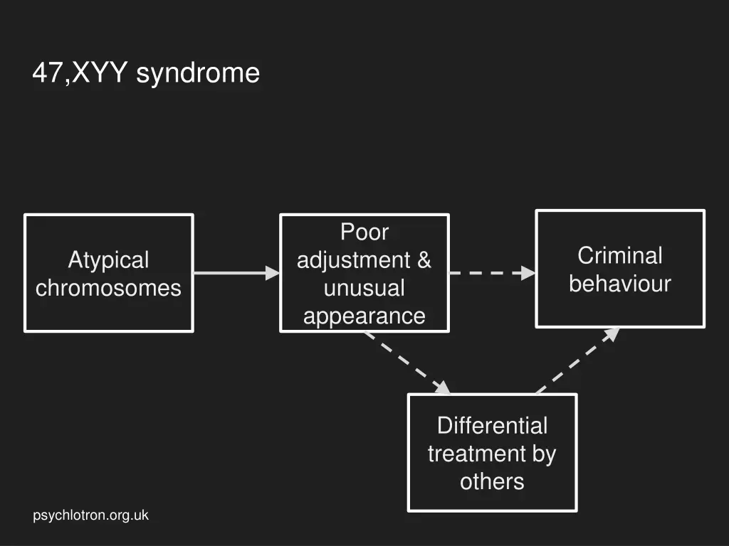 47 xyy syndrome 2