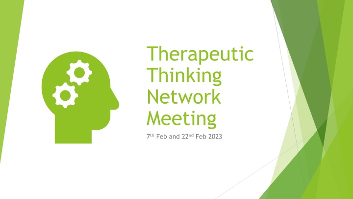therapeutic thinking network meeting