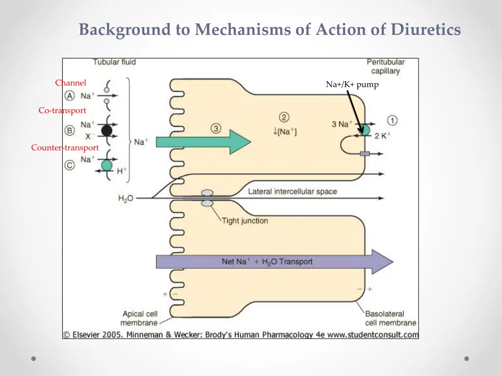 background to mechanisms of action of diuretics