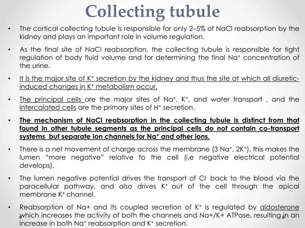 collecting tubule the cortical collecting tubule