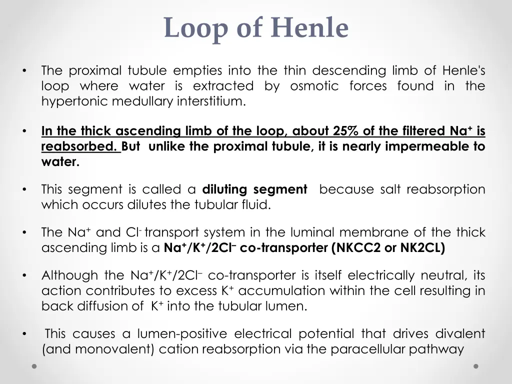 loop of henle