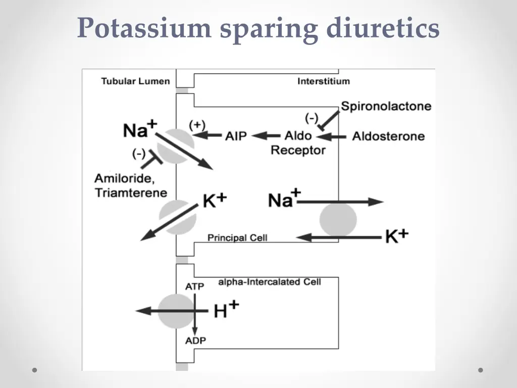 potassium sparing diuretics 1