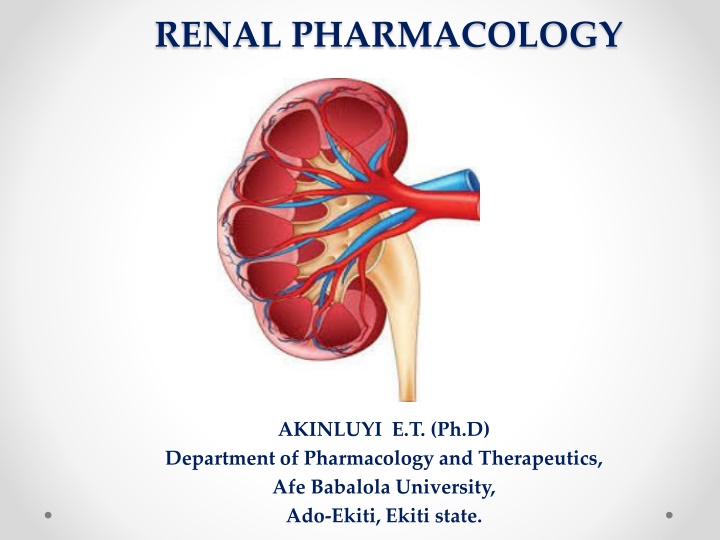 renal pharmacology