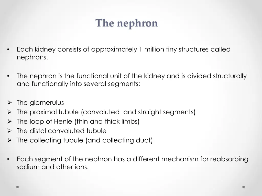 the nephron