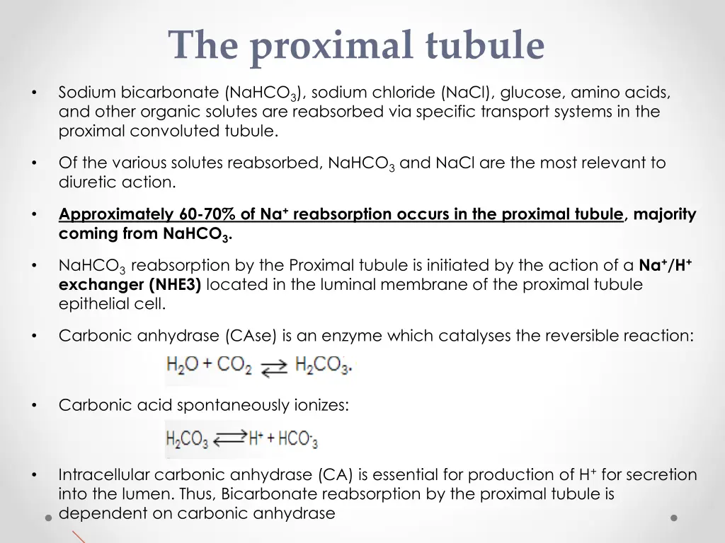 the proximal tubule