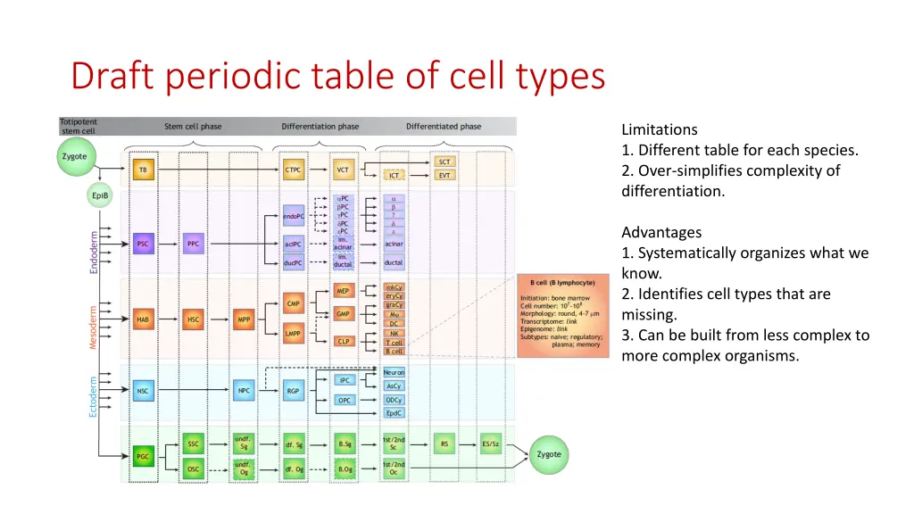 draft periodic table of cell types