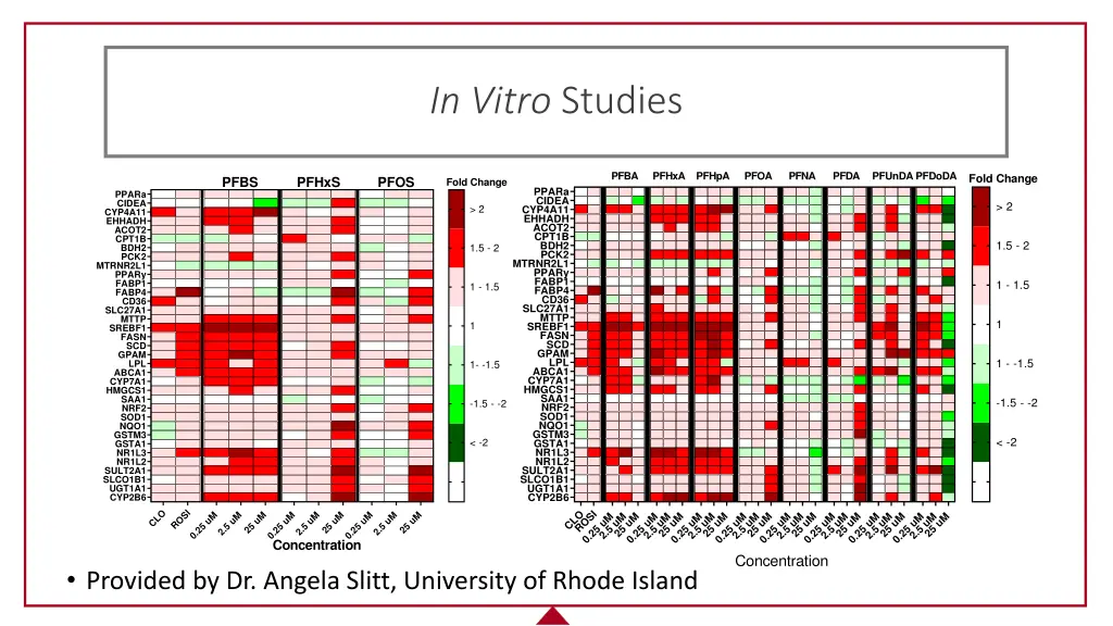 in vitro studies