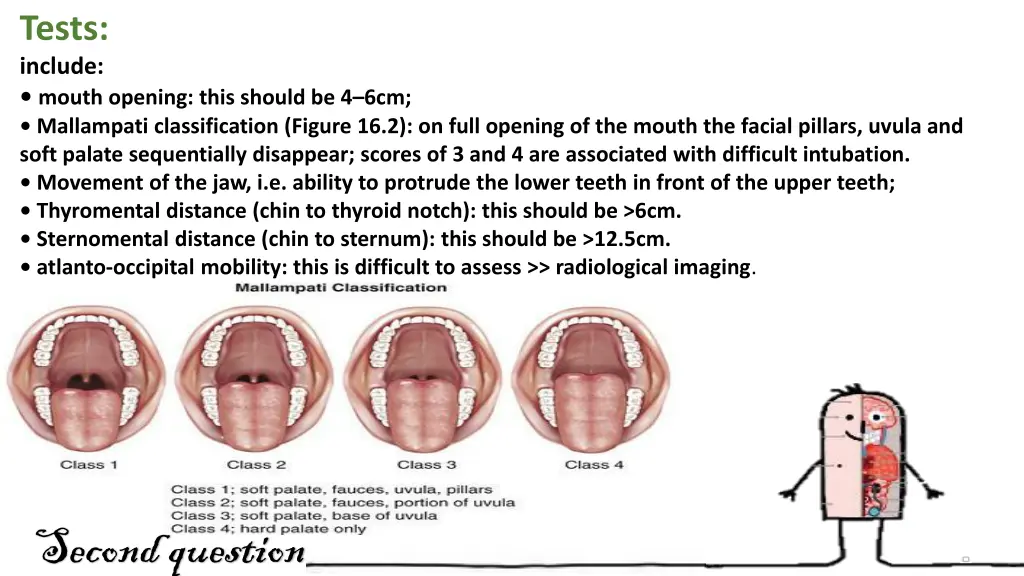 tests include mouth opening this should