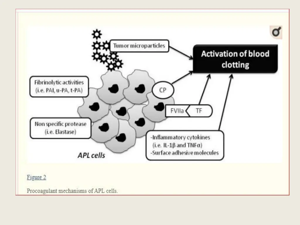 slide10