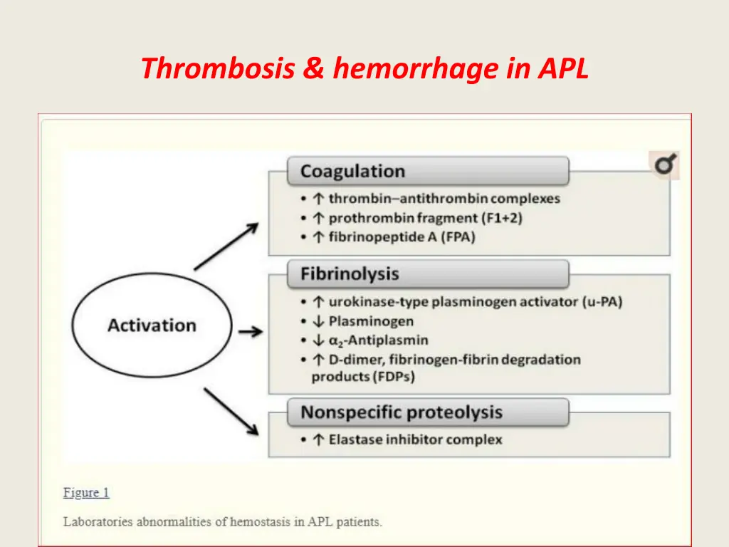 thrombosis hemorrhage in apl