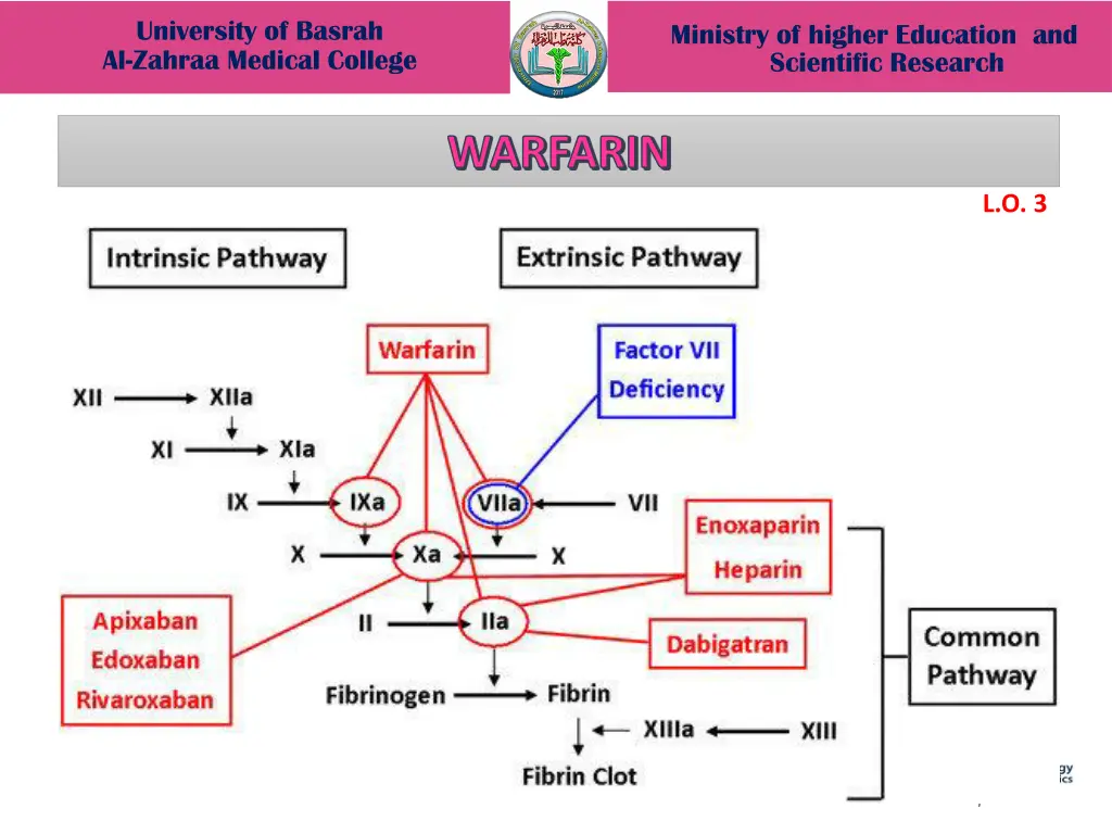 university of basrah al zahraa medical college 11