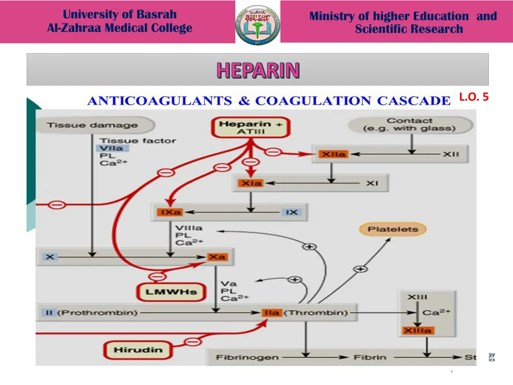 university of basrah al zahraa medical college 16
