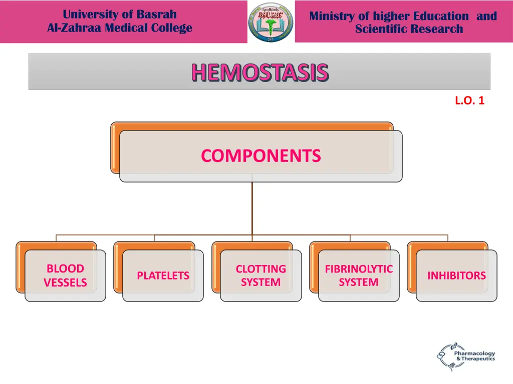 university of basrah al zahraa medical college 5
