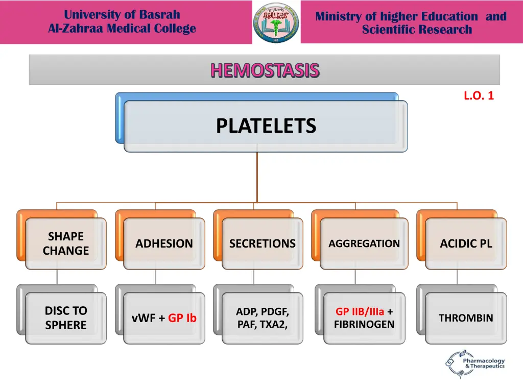 university of basrah al zahraa medical college 6