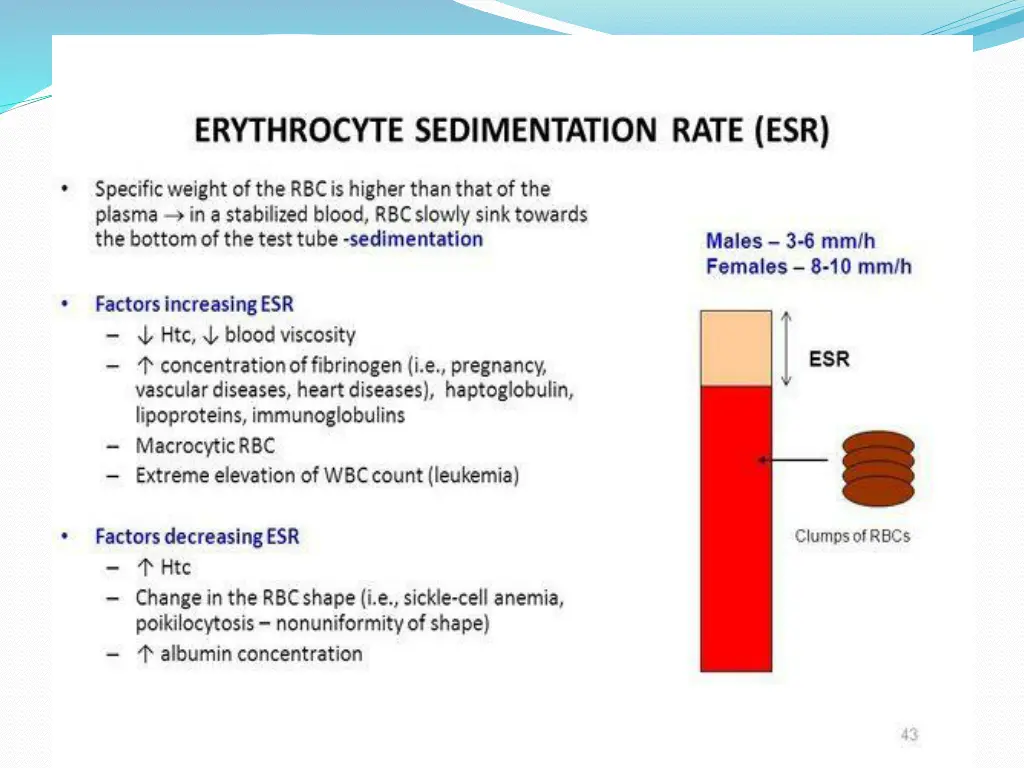 slide25