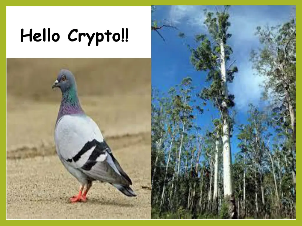 hello crypto