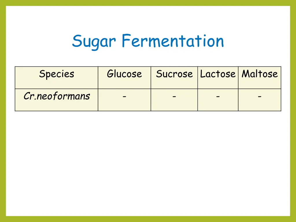 sugar fermentation 2