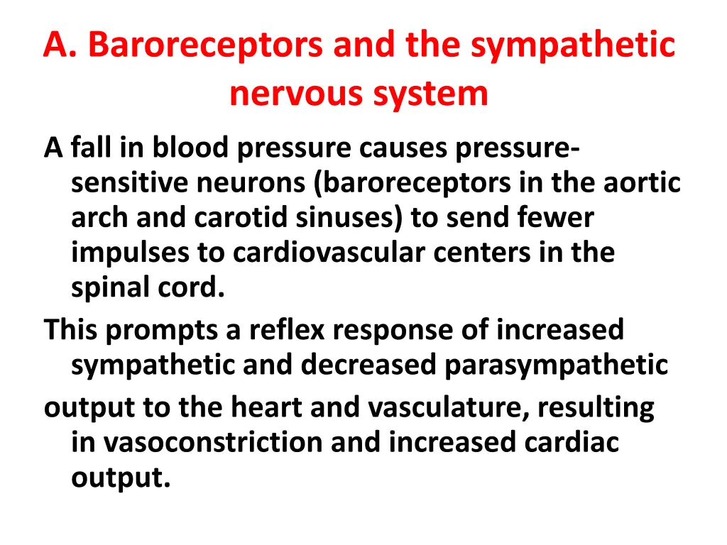 a baroreceptors and the sympathetic nervous system