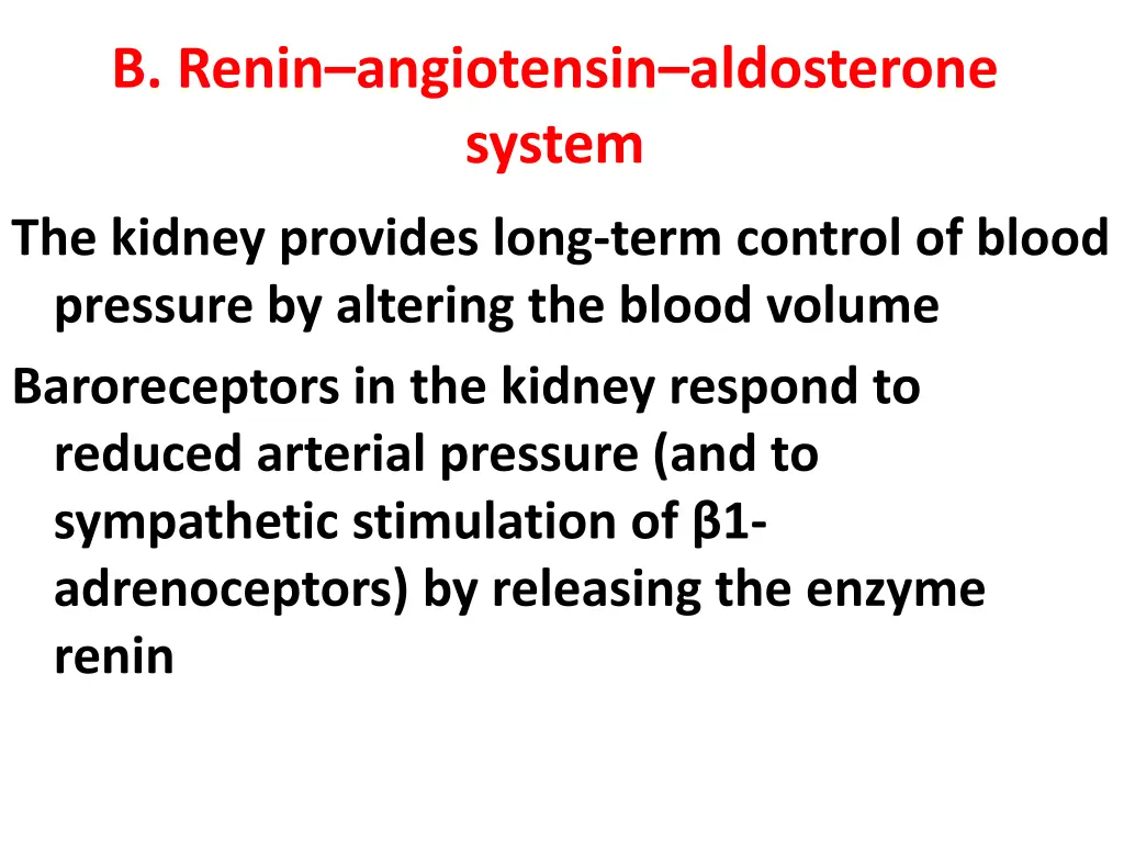 b renin angiotensin aldosterone system
