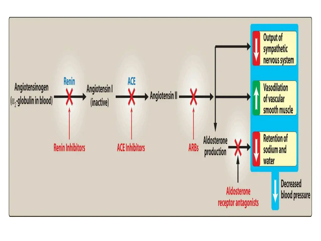 slide15