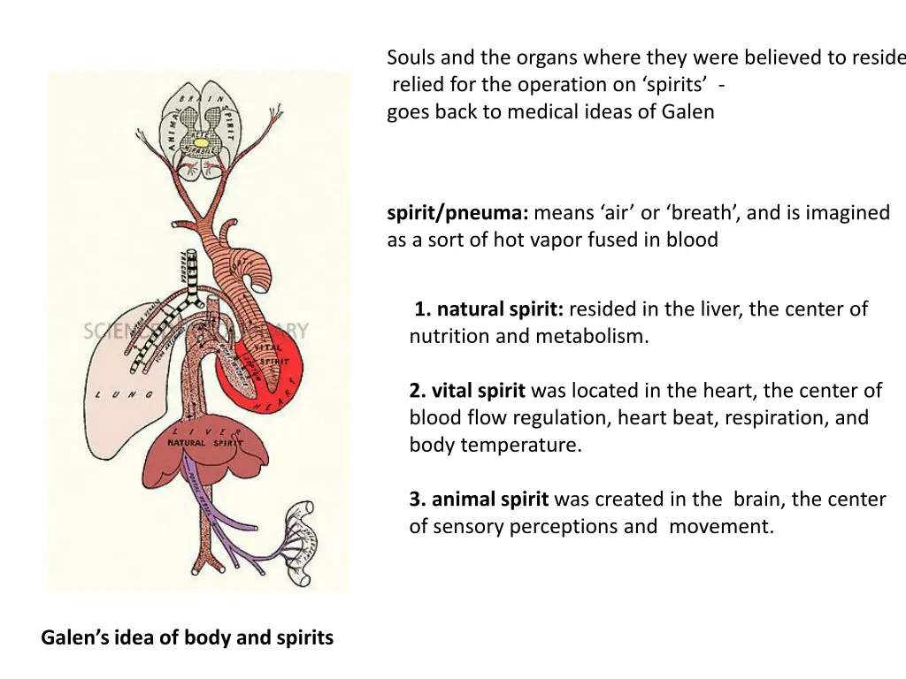 souls and the organs where they were believed