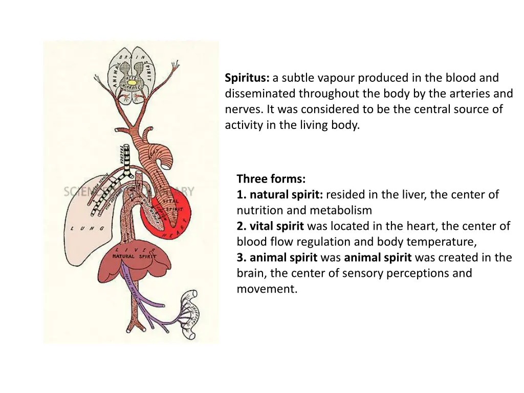 spiritus a subtle vapour produced in the blood