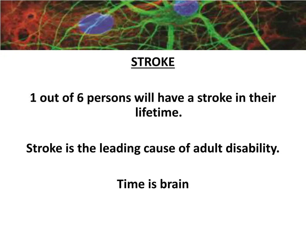 importance of neuroscience 1