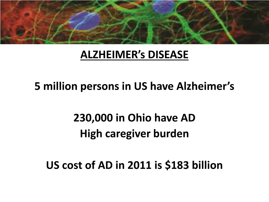 importance of neuroscience 2