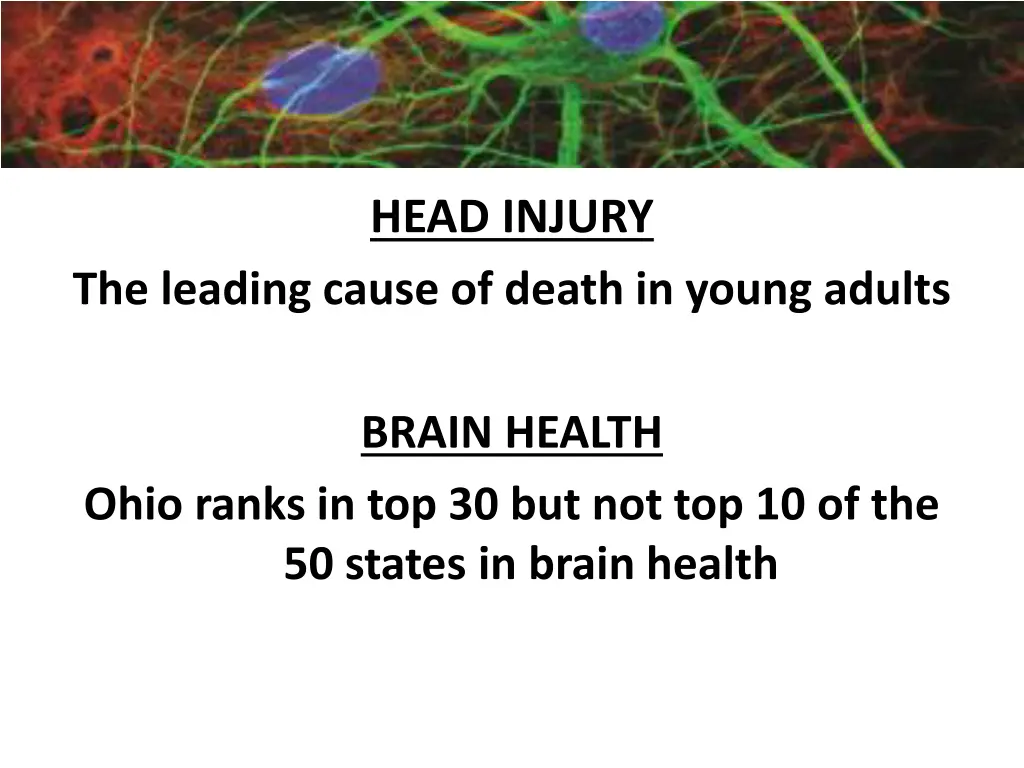 importance of neuroscience 4