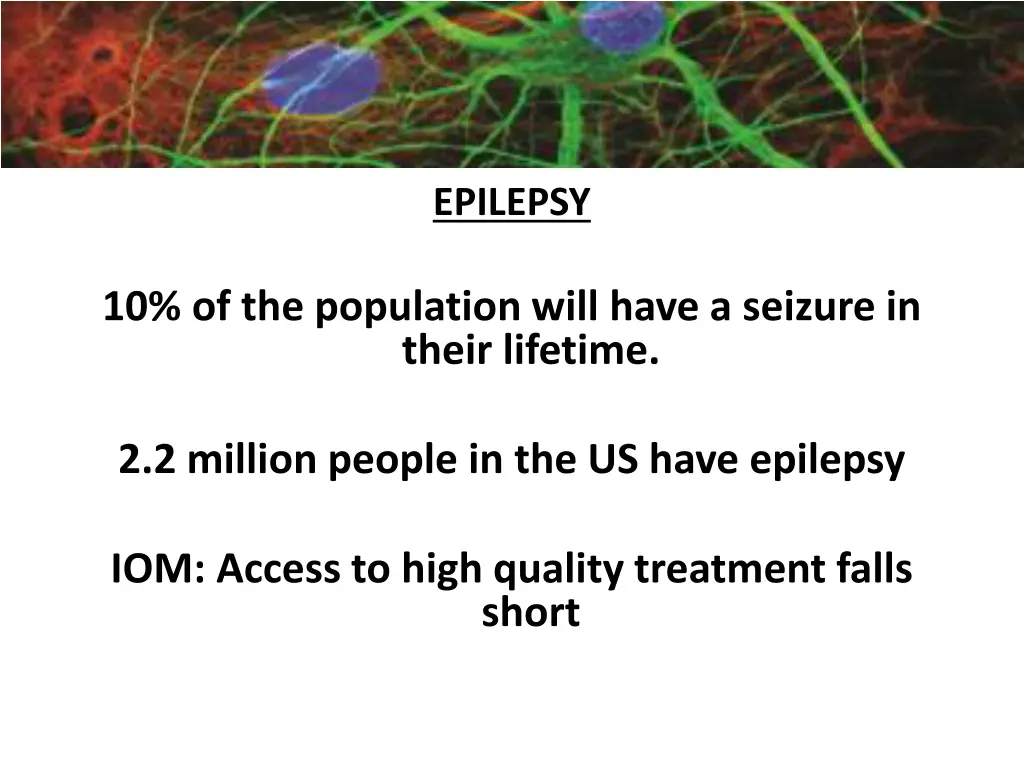 importance of neuroscience